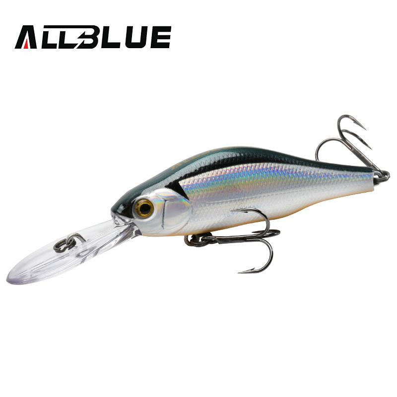 Fishing Equipment Deals - ALLBLUE HUNCH 70SP DR Professionele Vissen