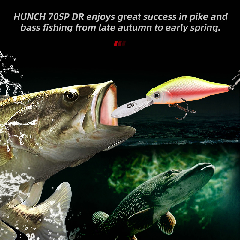 ALLBLUE HUNCH 70SP DR Professi - Fishing Equipment Deals recensie en prijs