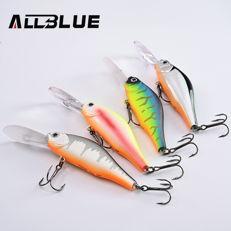 ALLBLUE HUNCH 70SP DR Professi - Fishing Equipment Deals recensie en prijs