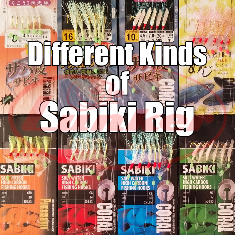 Lunker sabiki rig haken lichtg - Fishing Equipment Deals recensie en prijs